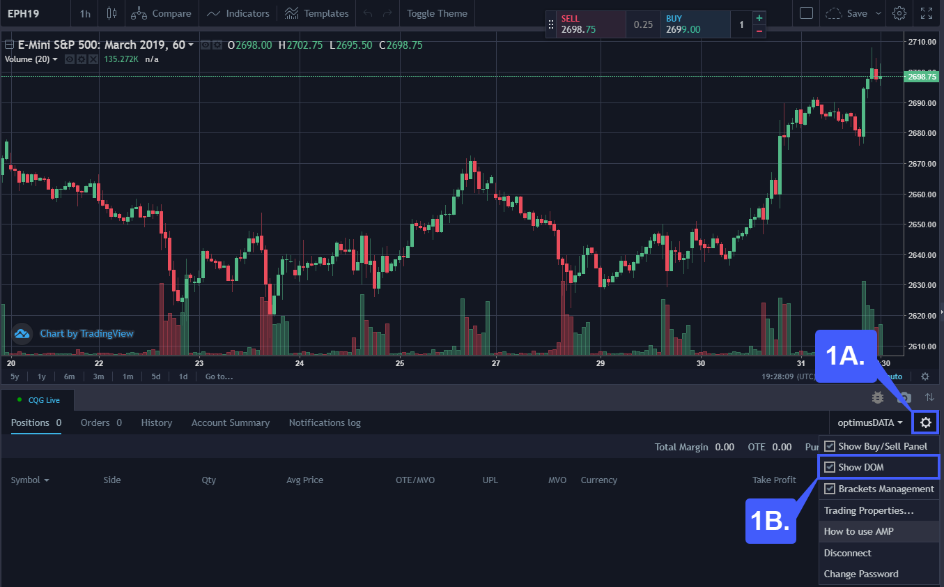 TradingView DOM 1